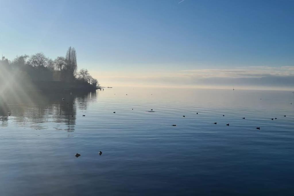 Appartement La Grande Mouette à Thonon-les-Bains Extérieur photo