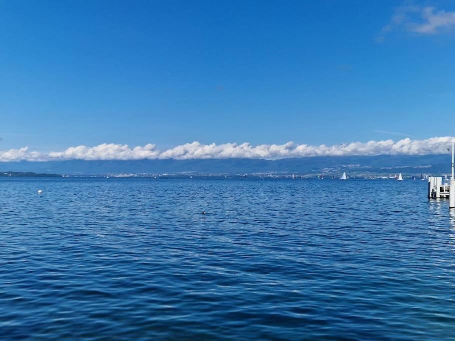 Appartement La Grande Mouette à Thonon-les-Bains Extérieur photo